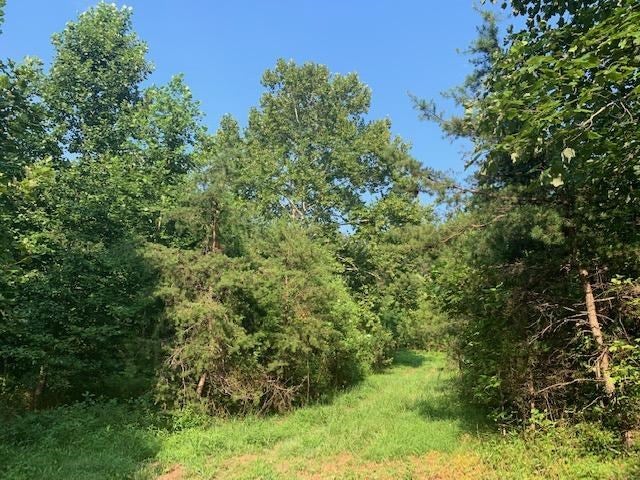 Beckham Road Appomattox, VA 24522 - Photo 12 of 22 Gallery Image 12