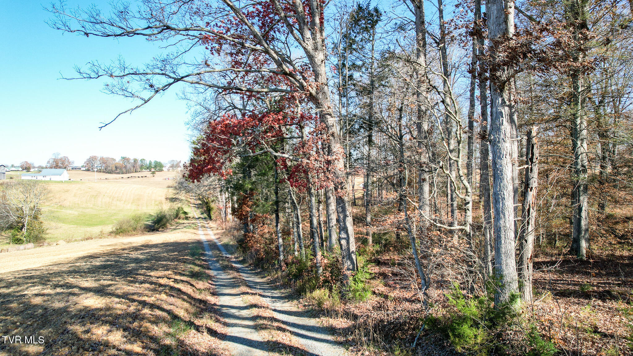 190 Treadway Road Chuckey, TN 37641 - Photo 17 of 34 DJI_0172