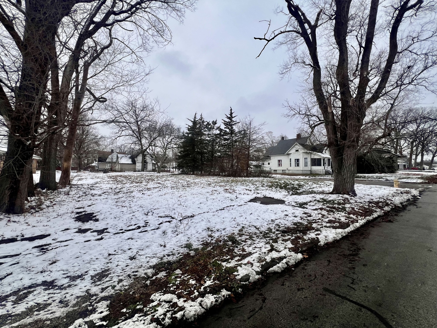 616 Robinson Street Danville, IL 61832 - Photo 3 of 4 a view of outdoor space yard and trees
