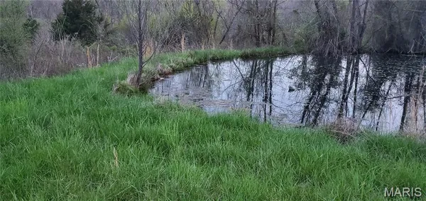 $398,000 | 0 Wayne 220 B, Silva, MO 63964