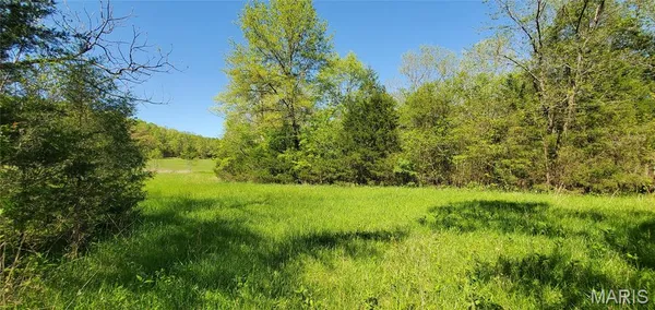 $398,000 | 0 Wayne 220 B, Silva, MO 63964