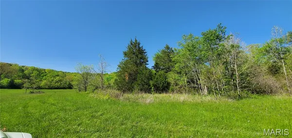 $398,000 | 0 Wayne 220 B, Silva, MO 63964