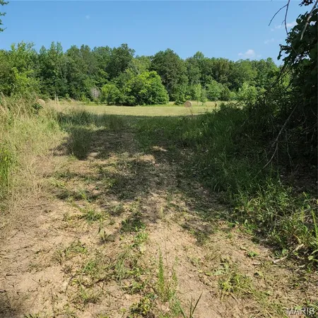 $398,000 | 0 Wayne 220 B, Silva, MO 63964