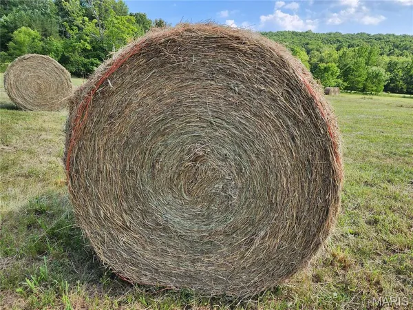 $398,000 | 0 Wayne 220 B, Silva, MO 63964