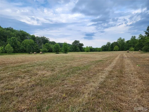 $398,000 | 0 Wayne 220 B, Silva, MO 63964