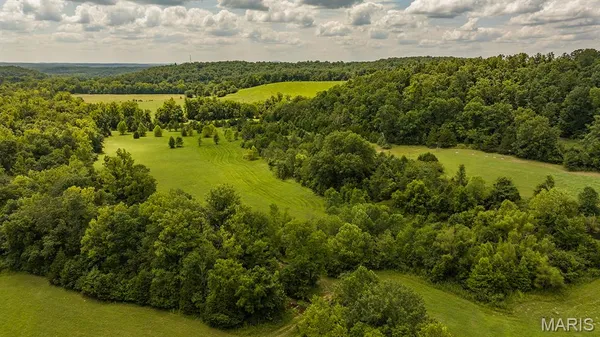 $398,000 | 0 Wayne 220 B, Silva, MO 63964