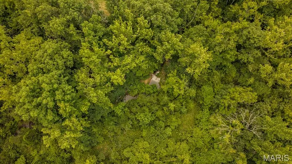 $398,000 | 0 Wayne 220 B, Silva, MO 63964