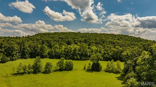 $398,000 | 0 Wayne 220 B, Silva, MO 63964