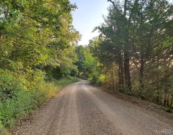 $398,000 | 0 Wayne 220 B, Silva, MO 63964