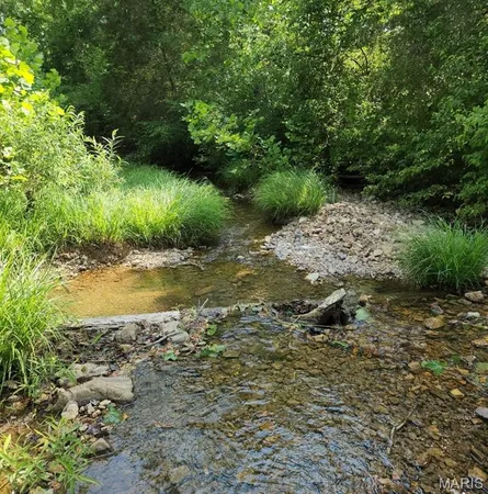 $398,000 | 0 Wayne 220 B, Silva, MO 63964