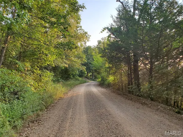 $398,000 | 0 Wayne 220 B, Silva, MO 63964