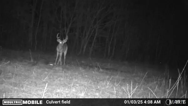 $398,000 | 0 Wayne 220 B, Silva, MO 63964