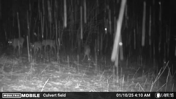 $398,000 | 0 Wayne 220 B, Silva, MO 63964