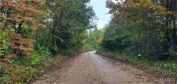 $398,000 | 0 Wayne 220 B, Silva, MO 63964