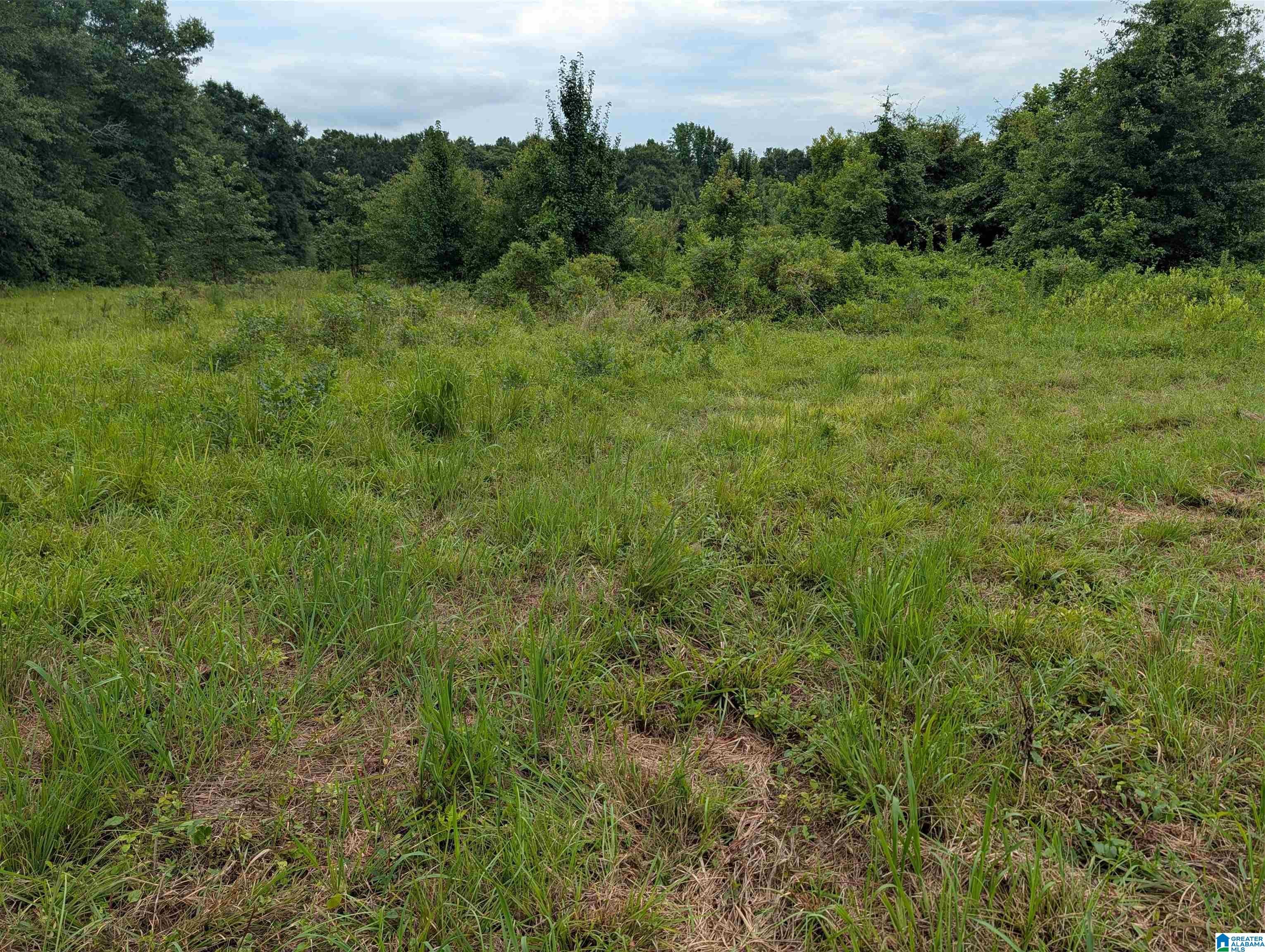 0 Barclay Road Alpine, AL 35014 - Photo 20 of 26 Gallery Image 20