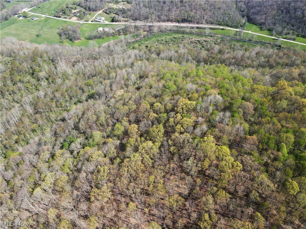 Hootowl Ridge Road Caldwell, OH 43724 - Photo 28 of 30 Gallery Image 28