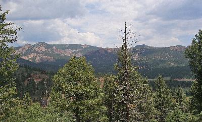 33883 Smith Road Pine, CO 80470 - Photo 1 of 1 Gallery Image 1