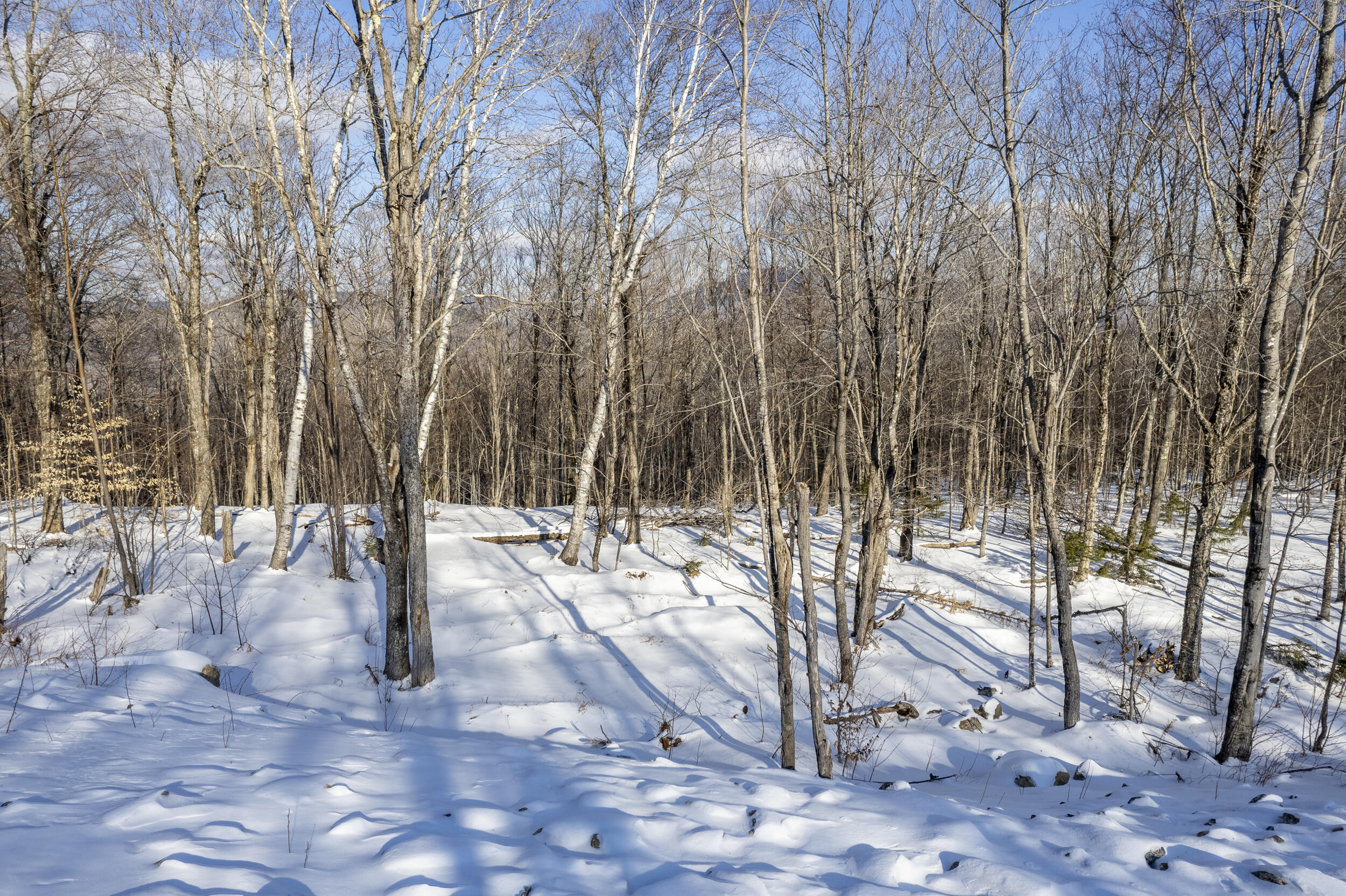 Lot 17 Garnet Way Newry, ME 04261 - Photo 2 of 8 garnetwaylot17-12