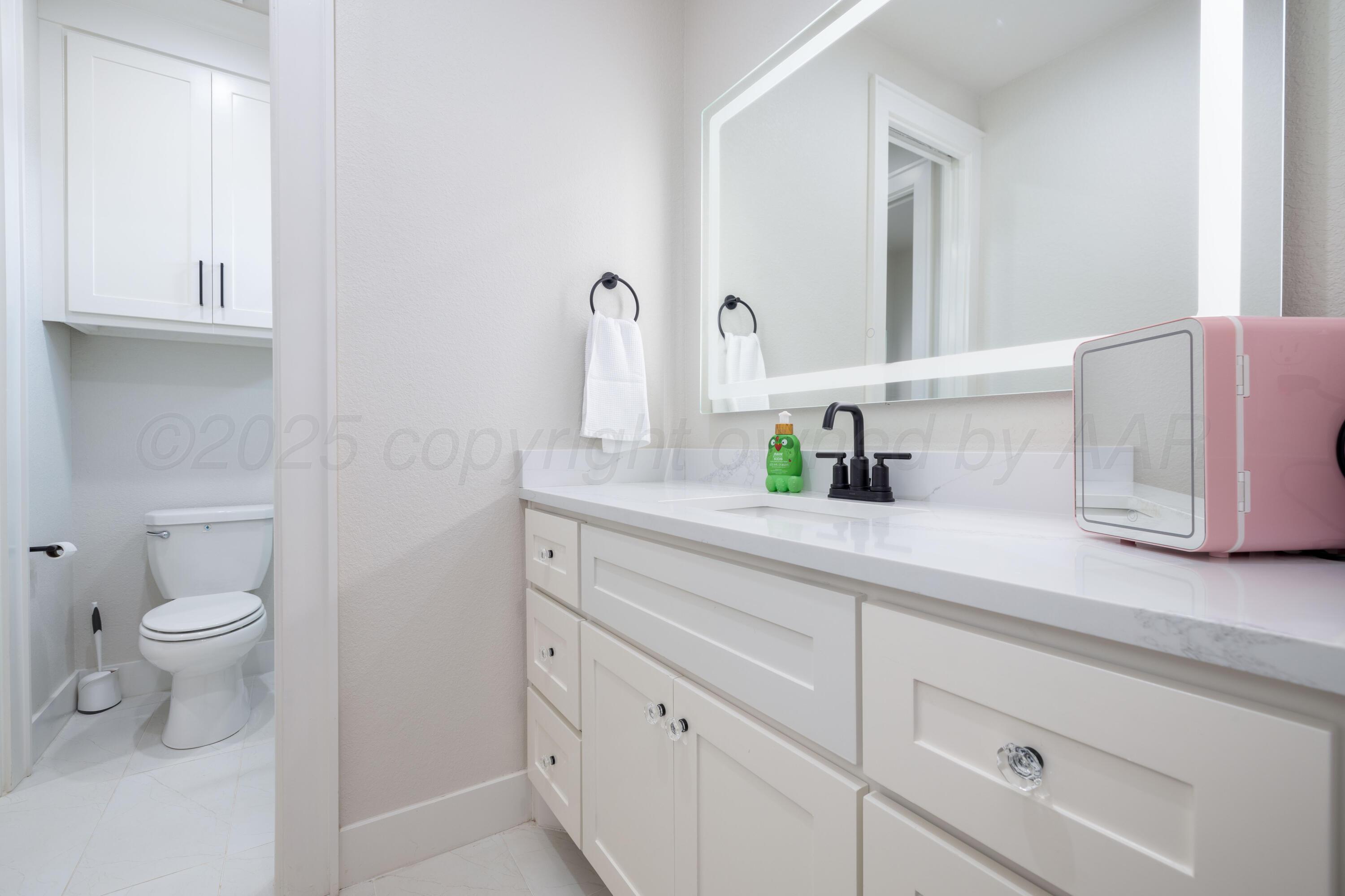 9507 Meadow Ridge Amarillo, TX 79118 - Photo 55 of 56 a bathroom with a sink and a toilet