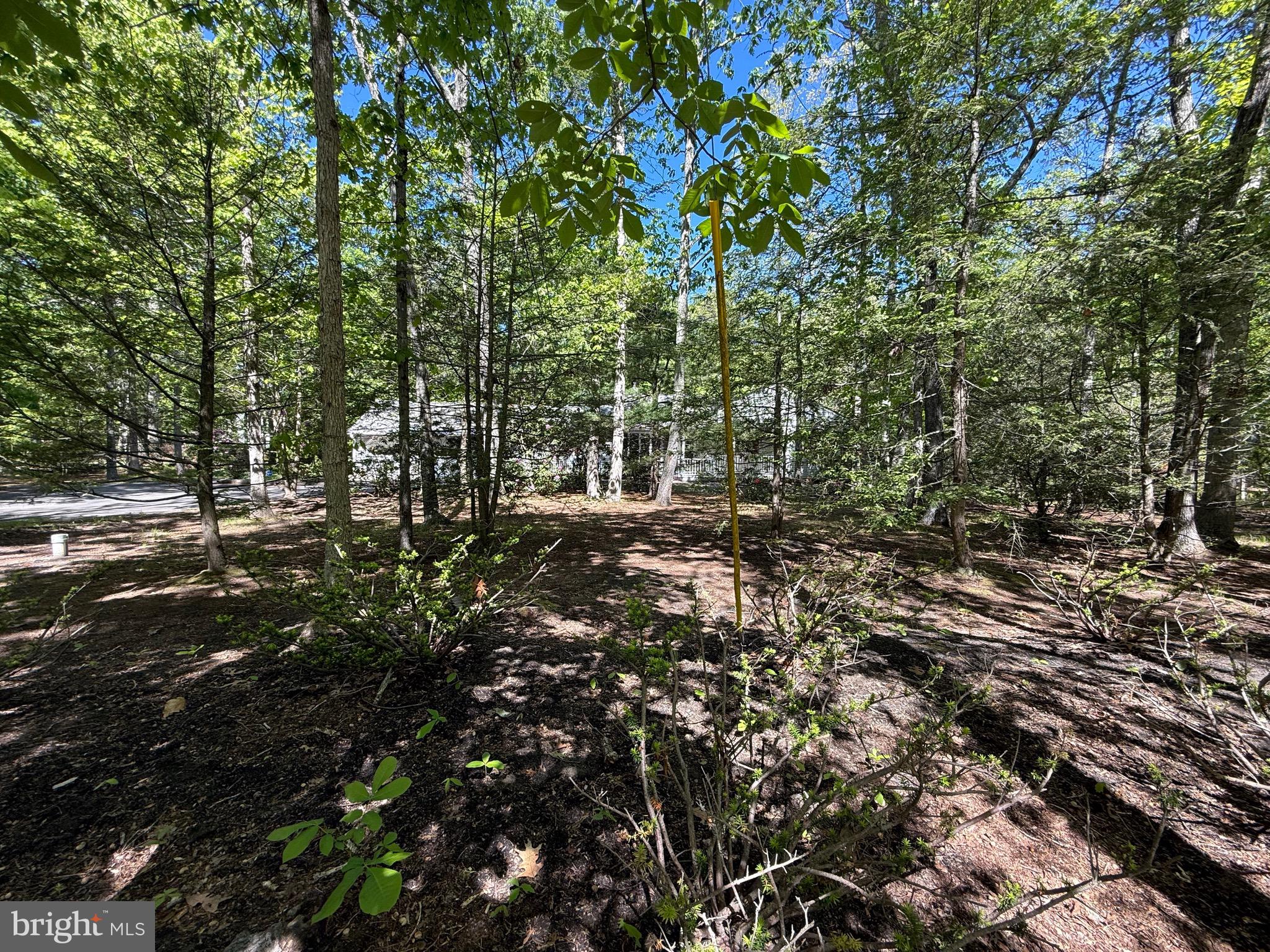 229 Oakshade Road Tabernacle, NJ 08088 - Photo 21 of 57 a view of outdoor space and trees