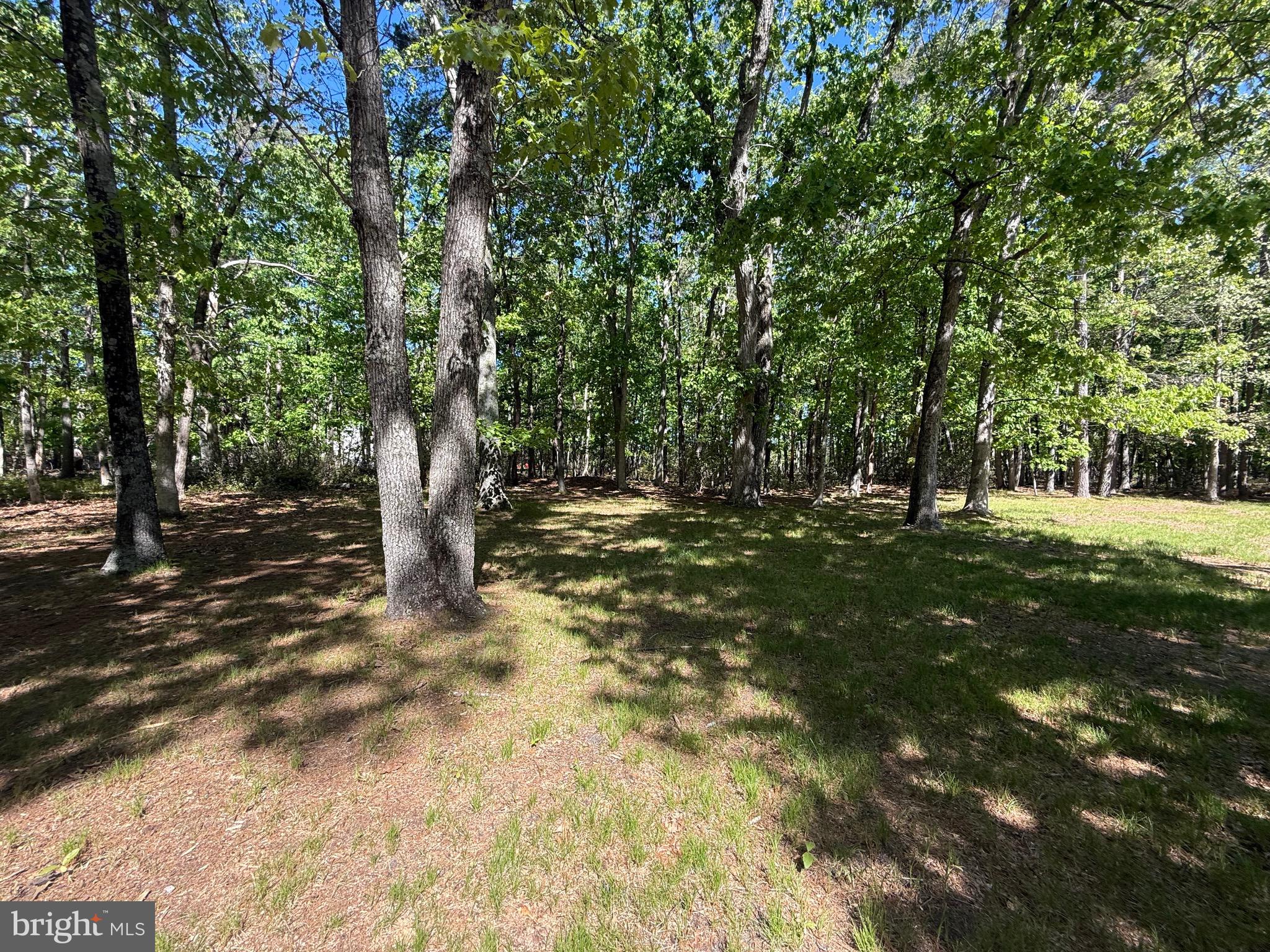 229 Oakshade Road Tabernacle, NJ 08088 - Photo 25 of 57 a view of outdoor space with trees