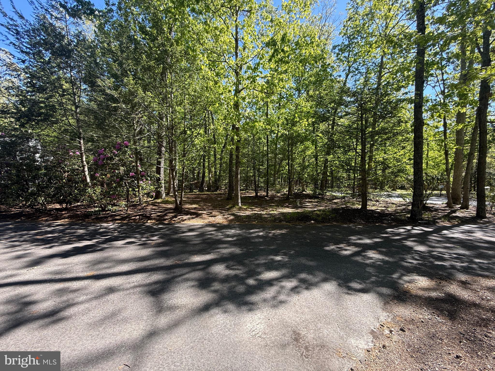 229 Oakshade Road Tabernacle, NJ 08088 - Photo 55 of 57