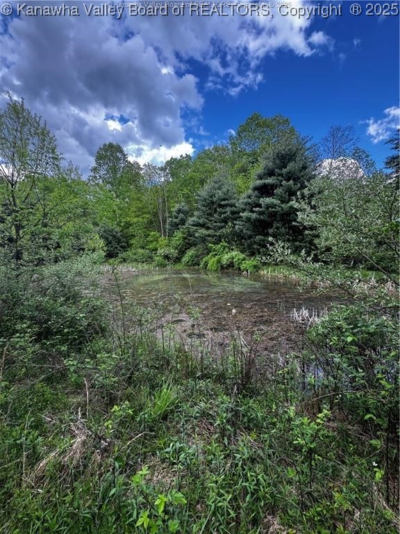 220 Bluestone River Road Jumping Branch, WV 25969 - Photo 11 of 20 Gallery Image 11