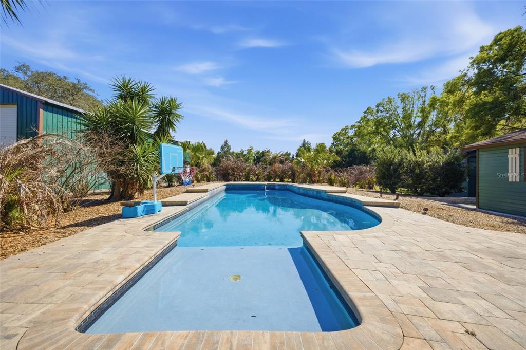 3752 Old Keystone Road Tarpon Springs, FL 34688 - Photo 44 of 71 a view of outdoor space with swimming pool and lounge chair