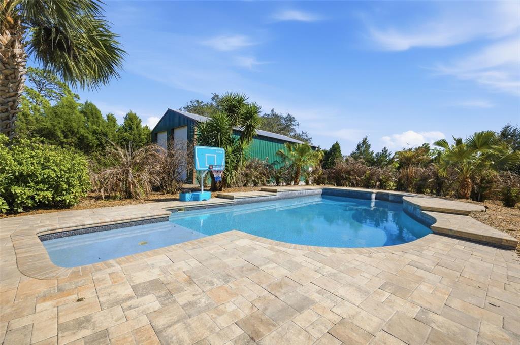 3752 Old Keystone Road Tarpon Springs, FL 34688 - Photo 45 of 71 a view of outdoor space yard and swimming pool