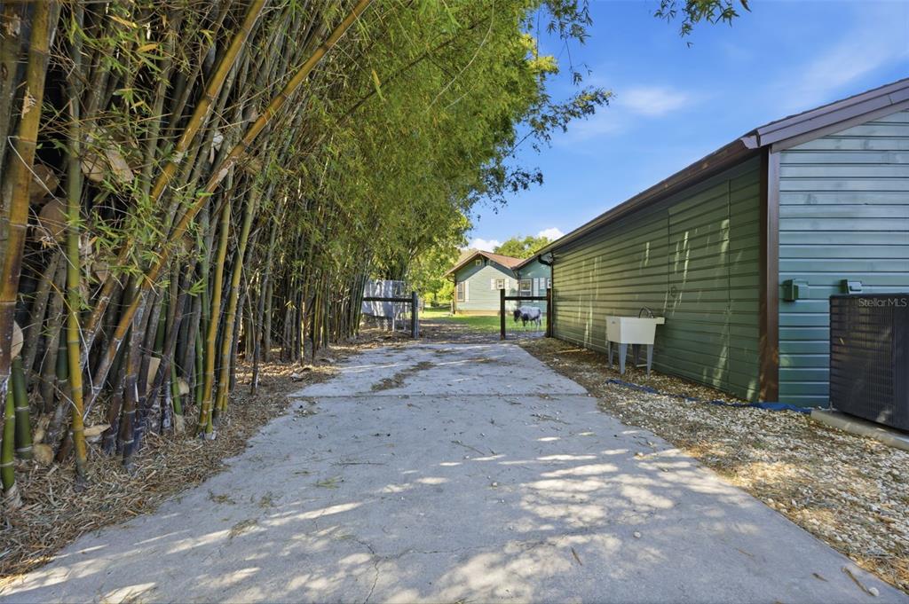 3752 Old Keystone Road Tarpon Springs, FL 34688 - Photo 55 of 71 a view of a house with backyard and trees