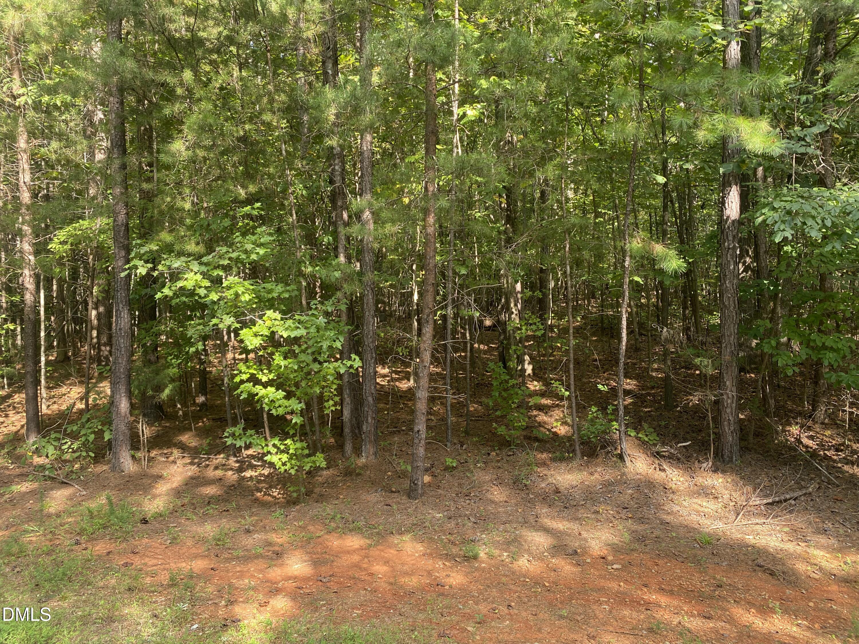 10418 Stallion Way Bahama, NC 27503 - Photo 2 of 3 a view of outdoor space and yard