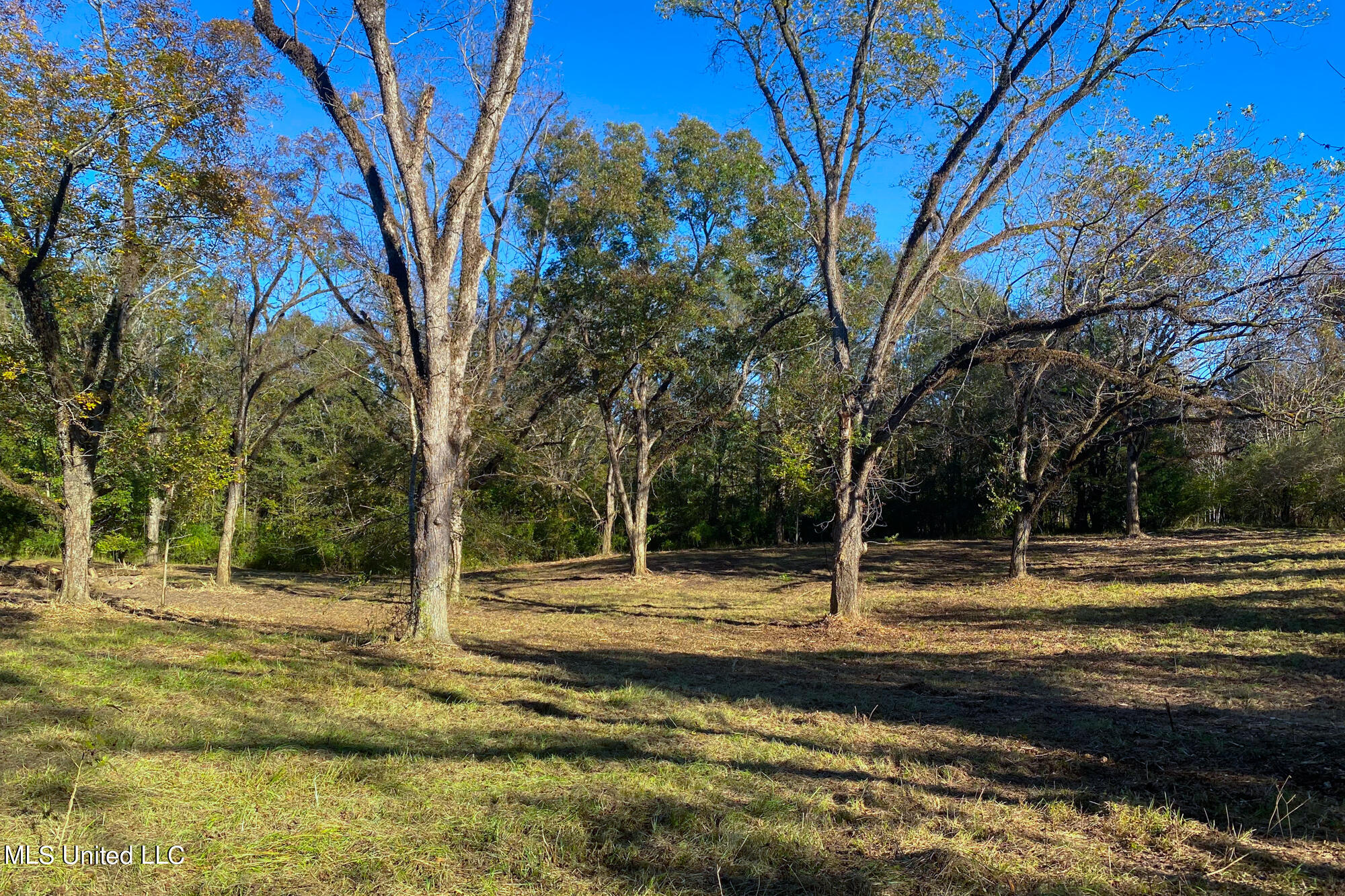 1 Star Road Florence, MS 39073 - Photo 1 of 26 43 Acres