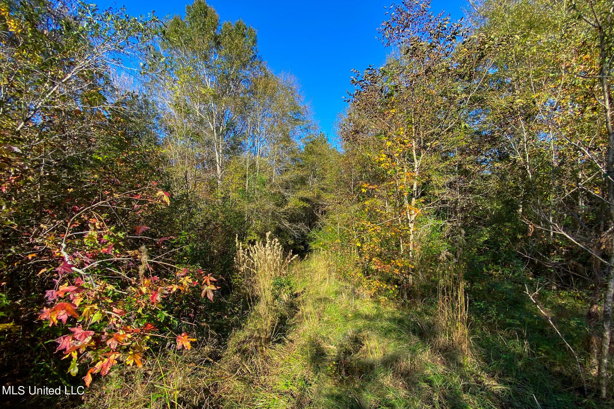 1 Star Road Florence, MS 39073 - Photo 7 of 26 3417 Star Rd-17