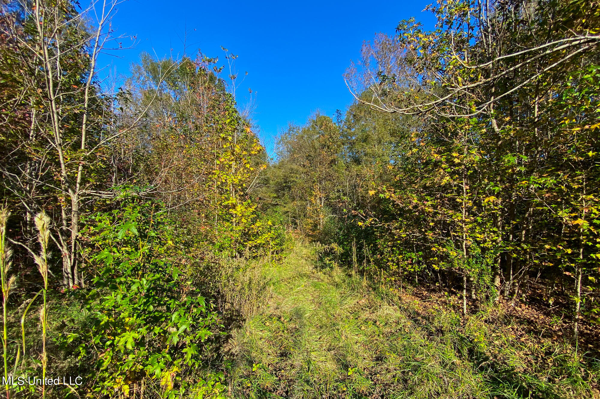 1 Star Road Florence, MS 39073 - Photo 8 of 26 3417 Star Rd-16