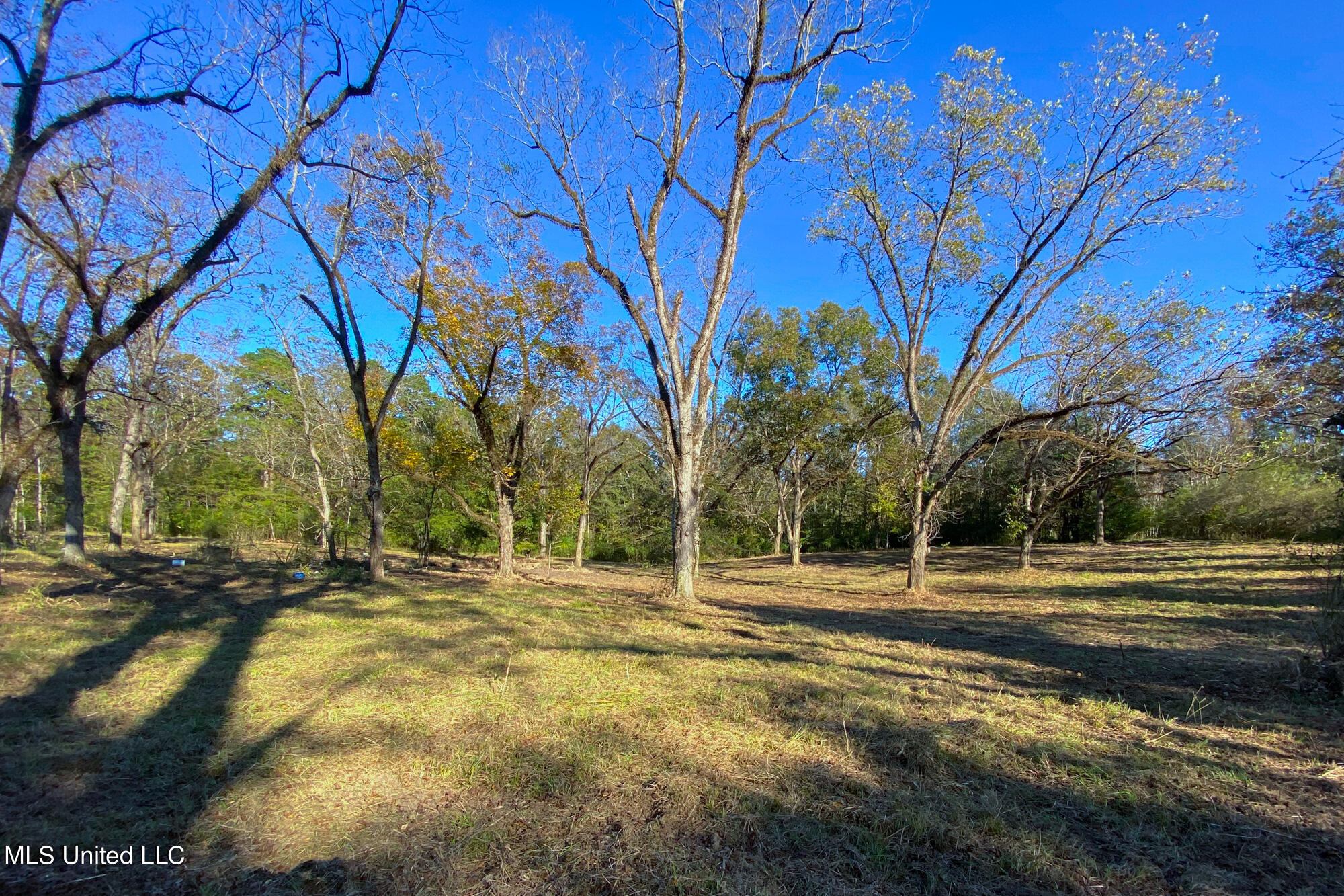 1 Star Road Florence, MS 39073 - Photo 9 of 26 3417 Star Rd-12