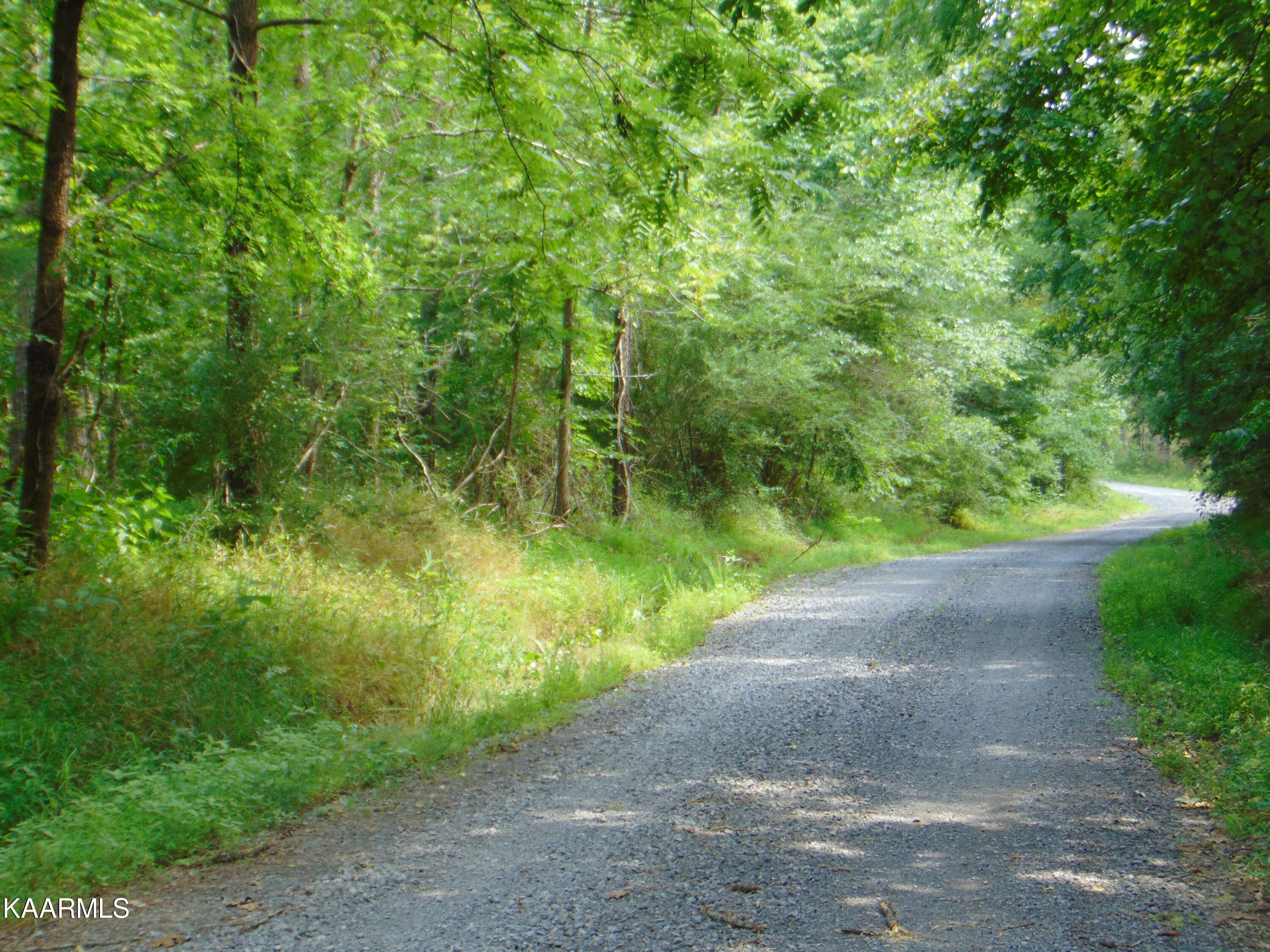 2 C Charles Road Decatur, TN 37322 - Photo 2 of 8 TR 2C Charles roadfront