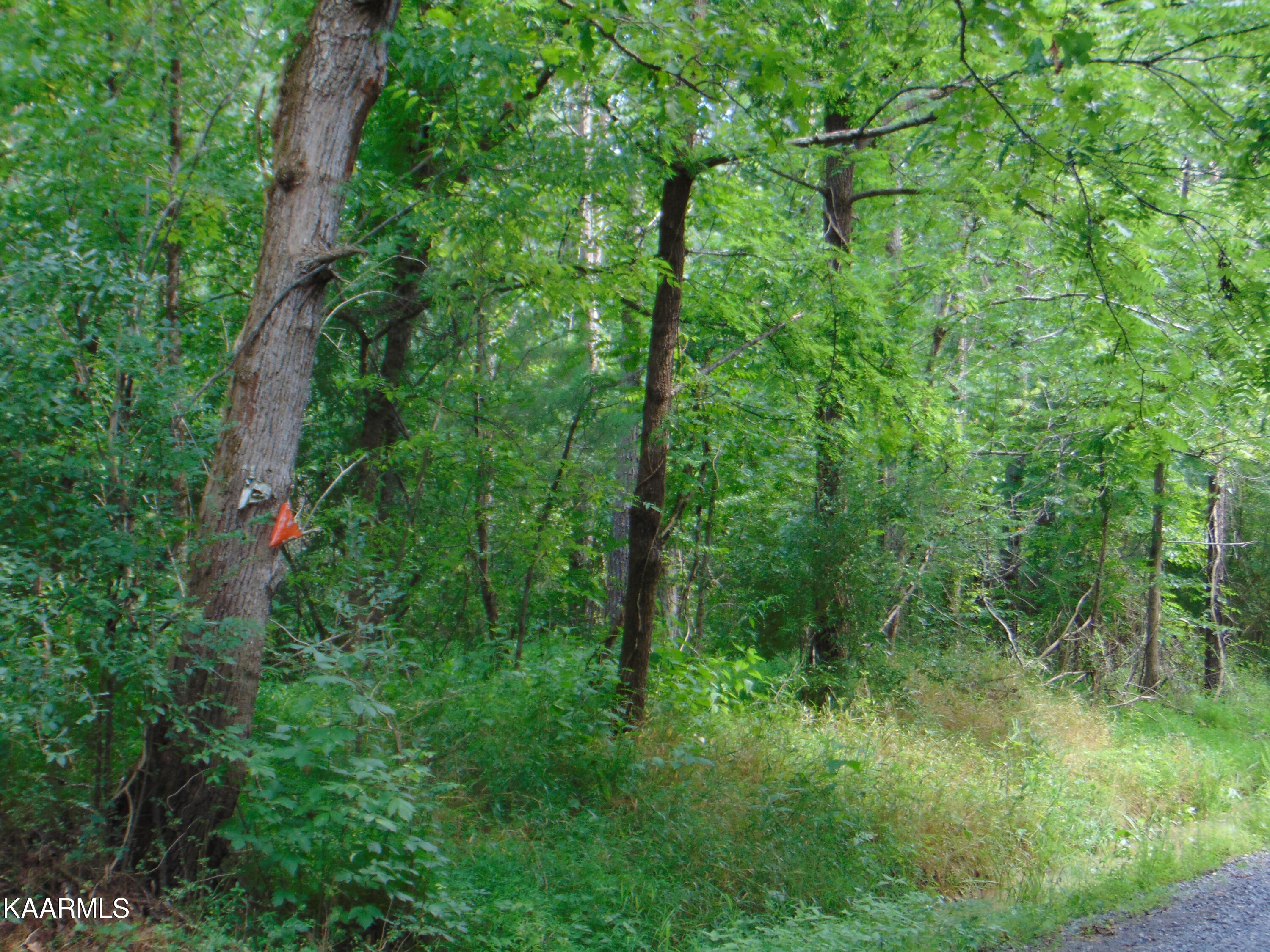 2 C Charles Road Decatur, TN 37322 - Photo 3 of 8 TR 2C Charles 5