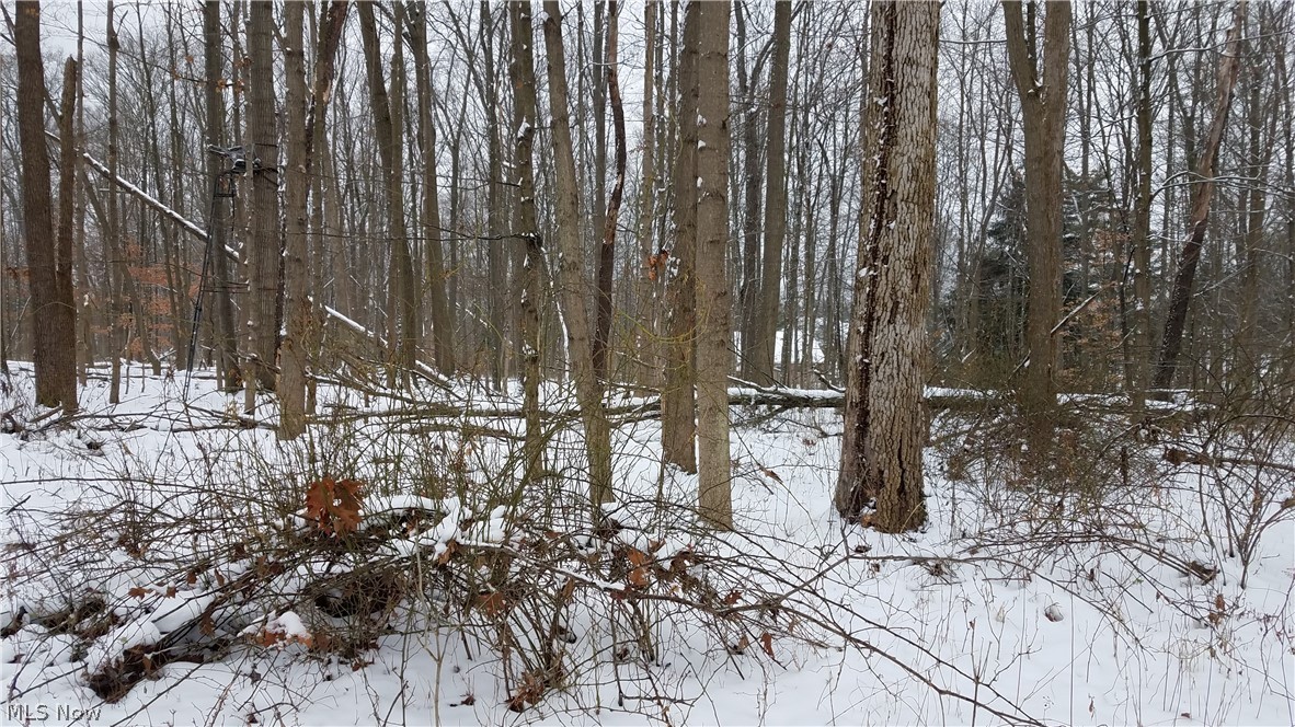 Holzhauer Road Northfield, OH 44067 - Photo 13 of 19 Gallery Image 13