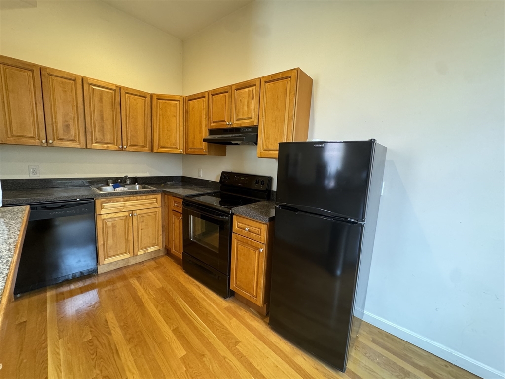 176 West Springfield Street, Unit 2 Boston, MA 02118 - Photo 3 of 6