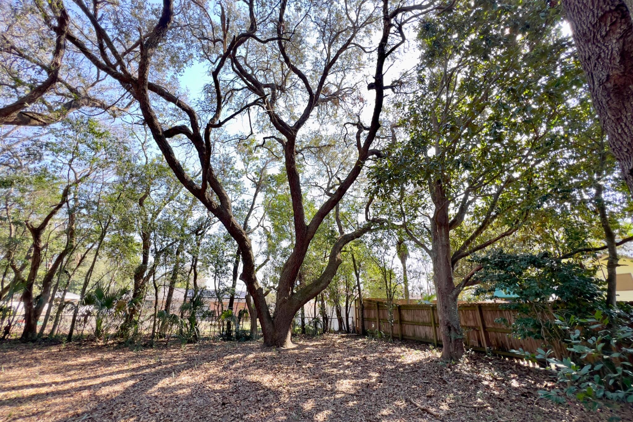 406 Spring Lane Destin, FL 32541 - Photo 11 of 25 a view of outdoor space with lots of trees