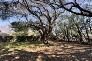 406 Spring Lane Destin, FL 32541 - Photo 7 of 25 a view of backyard with green space