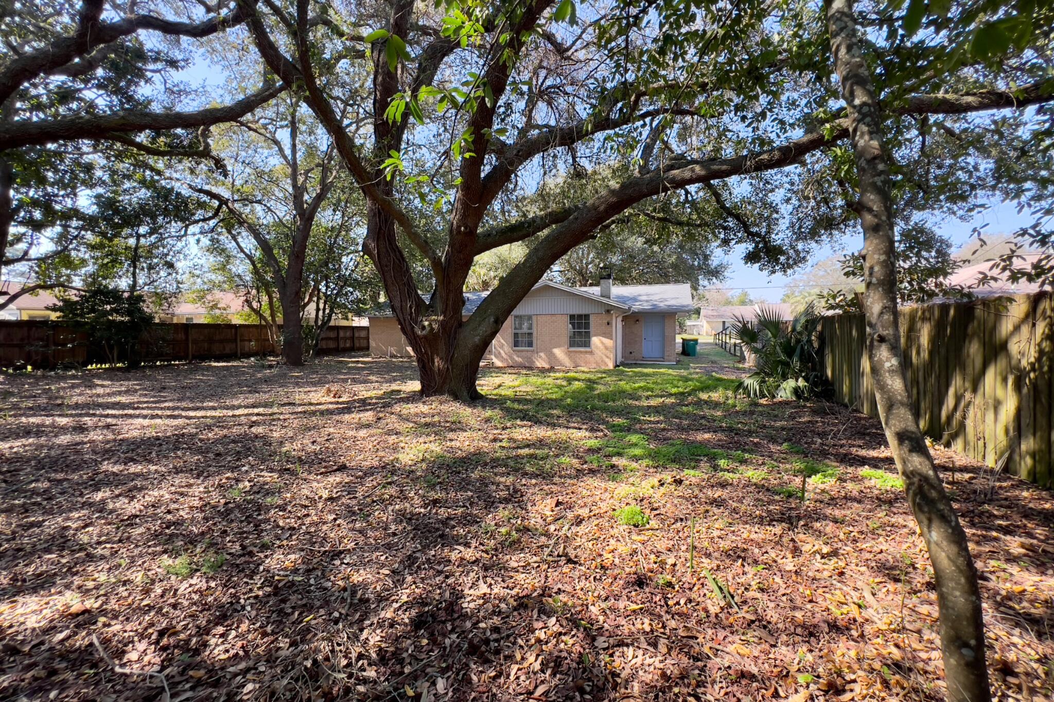 406 Spring Lane Destin, FL 32541 - Photo 10 of 25 a view of backyard with tree