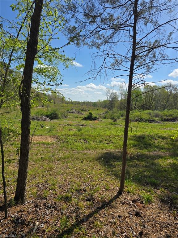0 Riverside Road Seagrove, NC 27341 - Photo 4 of 11 Expansive vacant acreage with a mix of cleared and wooded areas.