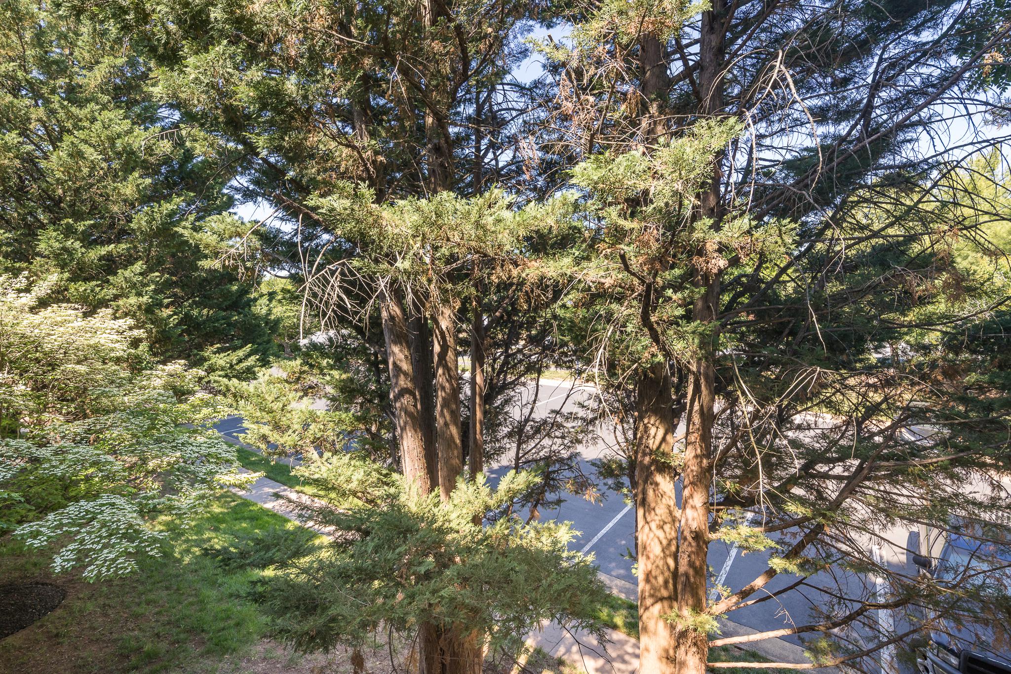 21009 Timber Ridge Terrace, Unit 203 Ashburn, VA 20147 - Photo 28 of 38 View from balcony