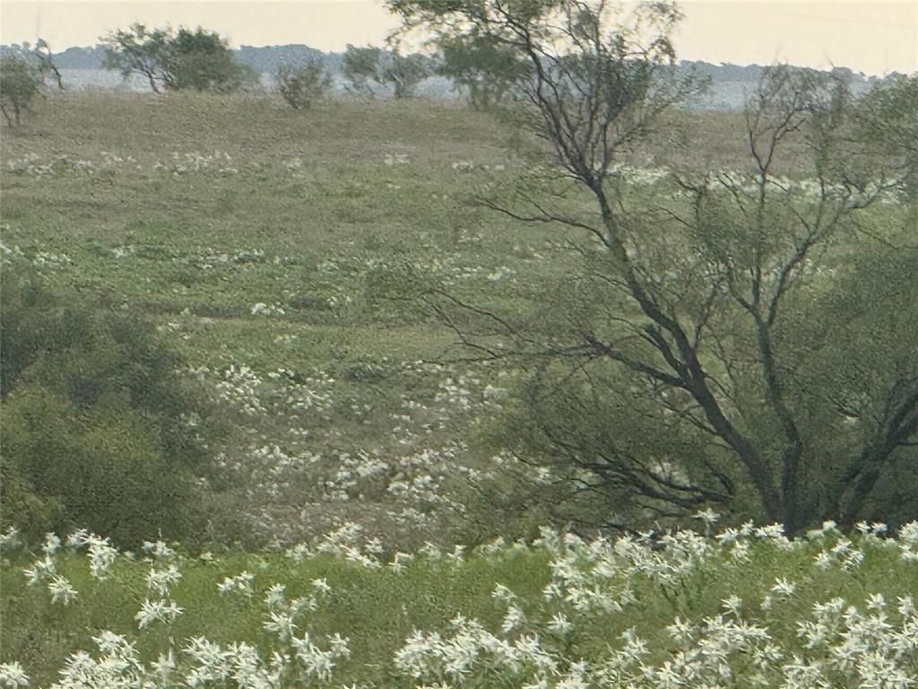 279 Private Road 2202 Decatur, TX 76234 - Photo 2 of 5 a view of a lake with a tree