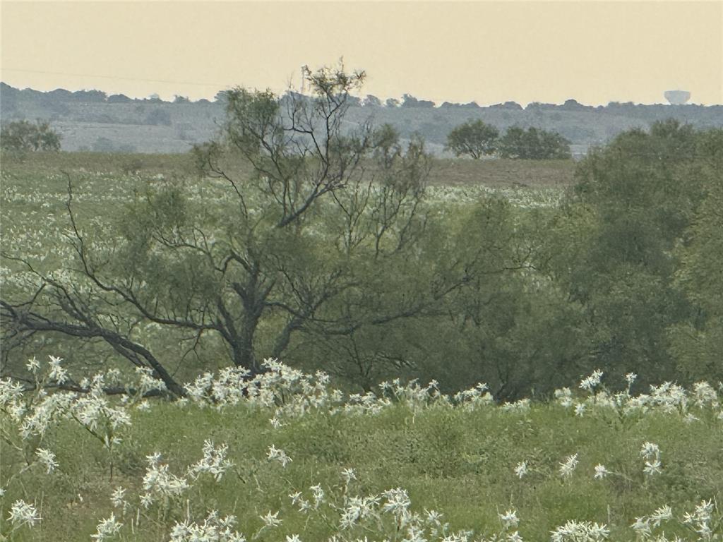 279 Private Road 2202 Decatur, TX 76234 - Photo 4 of 5 a view of a lake with a mountain