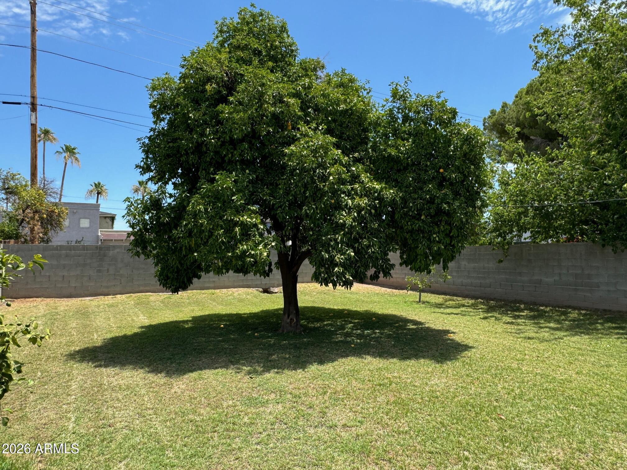 2723 North Greenfield Road Phoenix, AZ 85006 - Photo 15 of 15 IMG_6412