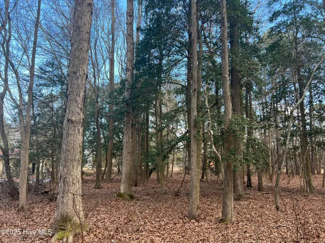 $8,400 | 0 Bridgersville Road, Macclesfield, NC 27852