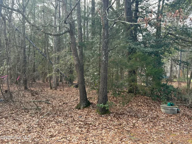 $8,400 | 0 Bridgersville Road, Macclesfield, NC 27852