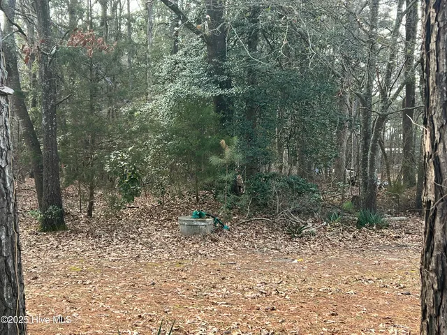 $8,400 | 0 Bridgersville Road, Macclesfield, NC 27852